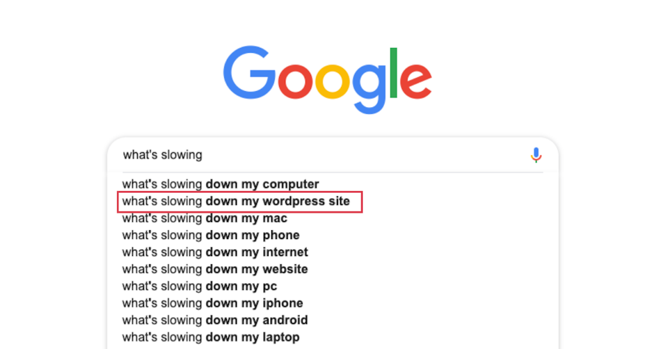 google results what's slowing down my wordpress site